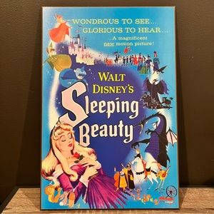 Sleeping Beauty poster